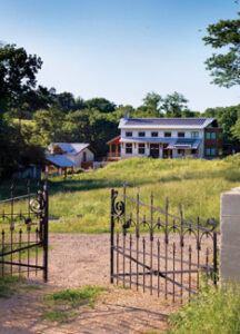 News from Mother: The Art of Homesteading Image